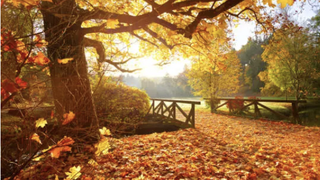 Vremea astăzi, 20 octombrie. Temperaturile sunt &icirc;n creștere pentru această perioadă &icirc;n &icirc;ntreaga țară