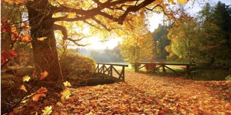 Vremea astăzi, 20 octombrie. Temperaturile sunt în creștere pentru această perioadă în întreaga țară