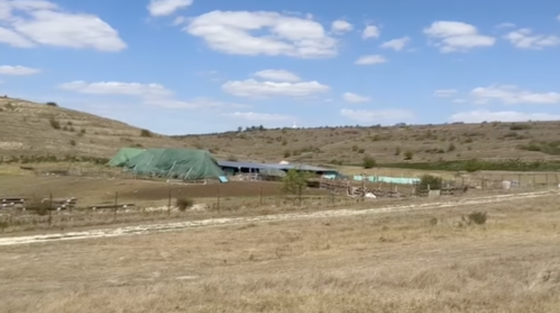 Dan Negru, lecție de istorie despre războaie: "Omul se bate ca acum 2000 de ani, nu am evoluat cu nimic. Doar armele au evoluat"