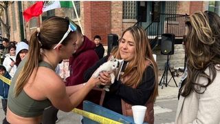 A salvat pisica la maraton