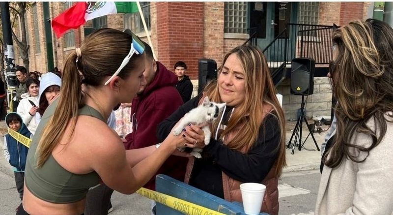 A salvat pisica la maraton