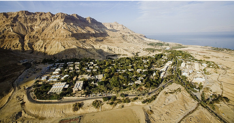 Ce este un kibbutz din Israel. Cum trăiesc oamenii în această comunitate. Românul răpit de Hamas locuia într-un kibbutz