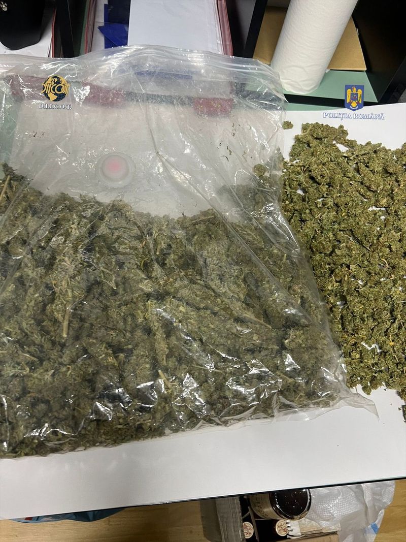 Trafic și consum de droguri