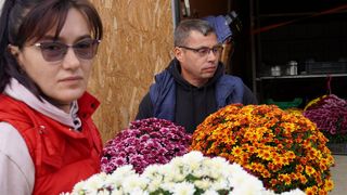 An de an, de când mama lui, infirmieră la Spitalul Județean Sibiu și-a pierdut viața, Florin plantează crizanteme pe gratis în fața unității de Primiri Urgențe. 