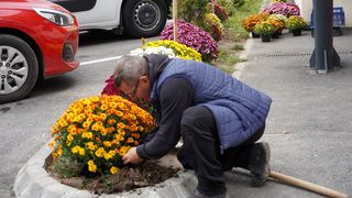 Florin Oprița -florar
