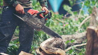Cum te ajută o drujbă electrică la lucrările agricole de toamnă