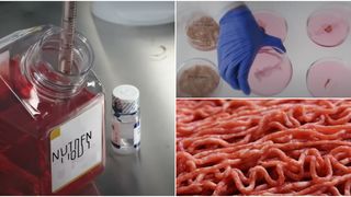 Momentan, carnea artificială a apărut pe piață &icirc;n țări precum&nbsp;Statele Unite, Canada și &icirc;n Singapore.