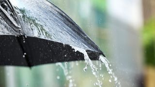 Atenționare meteorologică ANM: Rom&acirc;nia este lovită de ploi puternice. Mai multe județe vor fi afectate de v&acirc;nt cu viteză de p&acirc;nă la 90 km/h