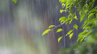 Atenționare meteorologică ANM: Rom&acirc;nia este lovită de ploi puternice