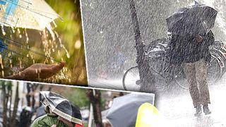 Atenționare meteorologică ANM: România este lovită de ploi puternice. Mai multe județe vor fi afectate de vânt cu viteză de până la 90 km/h