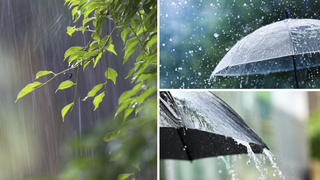 Atenționare meteorologică ANM: Rom&acirc;nia este lovită de ploi puternice. Mai multe județe vor fi afectate de v&acirc;nt cu viteză de p&acirc;nă la 90 km/h