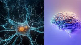 Oamenii care suferă de demență ar putea avea parte de o nouă terapie prin stimularea electrică a creierului: „Am demonstrat pentru prima dată că este posibilă stimularea de la distanţă”