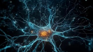 Oamenii care suferă de demență ar putea avea parte de o nouă terapie prin stimularea electrică a creierului: &bdquo;Am demonstrat pentru prima dată că este posibilă stimularea de la distanţă&rdquo;