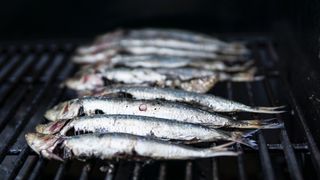 Sunt multe zile cu dezlegare la pește