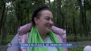 VIDEO- Ciorile nu pleacă. Ne obișnuim cu ele. Cetățenii se pl&acirc;ng din ce &icirc;n ce mai mult