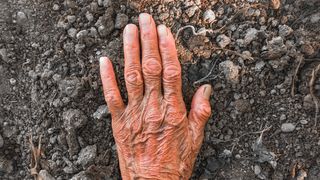 Administratorii centrului au fost reținuți