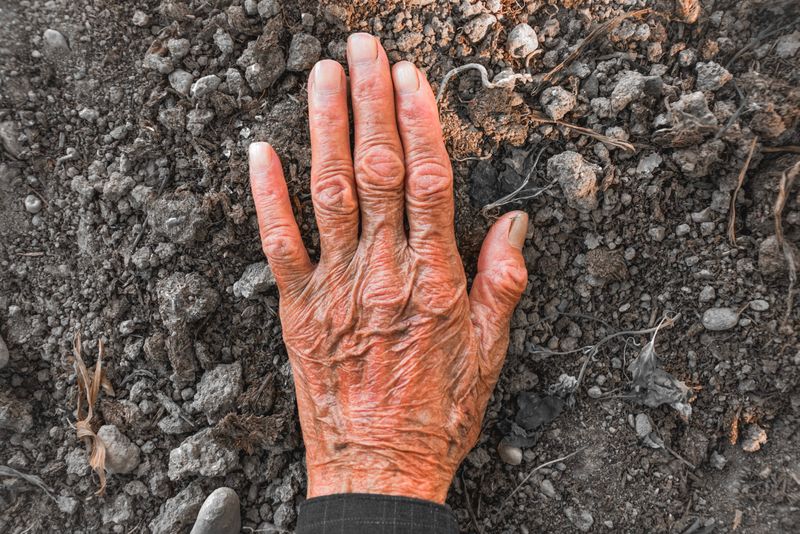 Administratorii centrului au fost reținuți