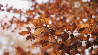 Vremea în weekend 28-29 octombrie 2023