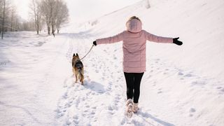 Meteorologii anunță ninsori neobișnuite &icirc;n această iarnă. C&acirc;nd vin zăpezile și gerul