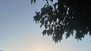 Ursuleți de pluș captivi &icirc;nconjoară Piața Dizengoff din Tel Aviv pentru a-i reprezenta pe cei 30 de copii care au fost răpiți fără milă de teroriștii Hamas.