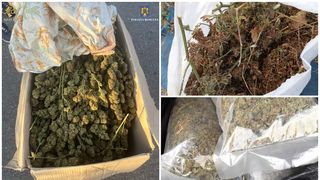 Sâmbătă, 28 octombrie judecătorul de la Tribunalul București a propus arestarea preventivă a celor 10 persoane reținute, pentru 30 de zile. 