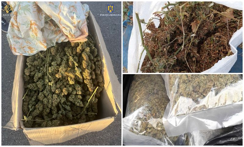 Sâmbătă, 28 octombrie judecătorul de la Tribunalul București a propus arestarea preventivă a celor 10 persoane reținute, pentru 30 de zile. 