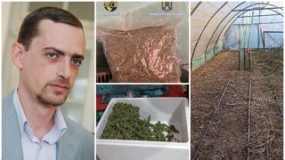 EXCLUSIV - Traficanţi de canabis prinși în flagrant în Dâmbovița. Cum gestionează Occidentul această problemă: ”Politicile antidrog absorb anual sume considerabile din bugetul statului, dar se dovedesc a fi ineficiente”