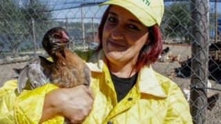 Afacerea cu care o româncă a dat lovitura în Italia. Mihaela crește găini și se bucură de un adevărat succes. „Oamenii se vor întoarce la munca pământului”
