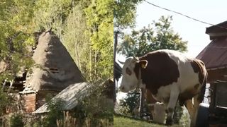 VIDEO - Asta-i România! Cătunul din Apuseni pe care oamenii nu l-au lăsat să dispară