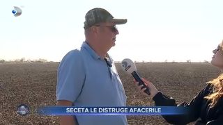 VIDEO - Seceta a distrus afacerile fermierilor. Solul arată acum precum deșertul în mai multe zone din țară