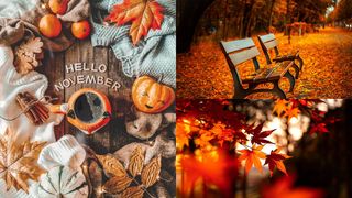 Curiozități despre luna noiembrie: Această lună mai este denumită și Brumar. Explicația celui de-al doilea nume al său este una simplă