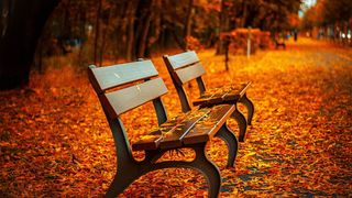 Curiozitati despre luna noiembrie