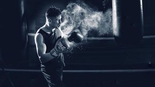 Boxer de performanță, Dani Borgovan