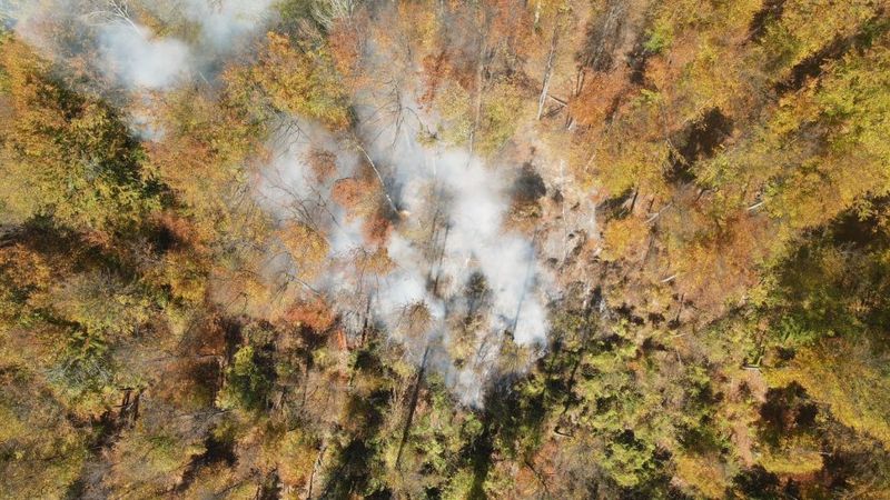 Incendiu pe Valea Doftanei