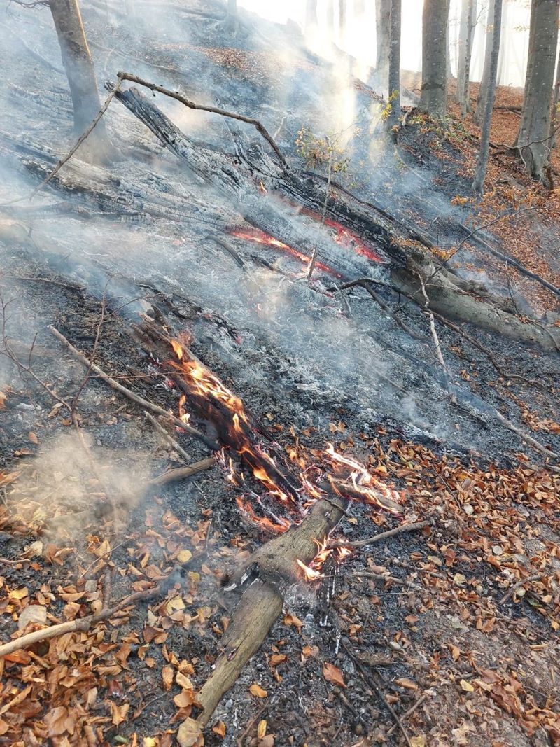 Incendiu pe Valea Doftanei