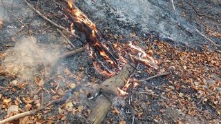 Incendiu pe Valea Doftanei