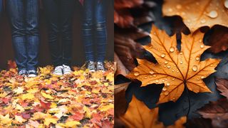 mesaje 1 noiembrie 2023