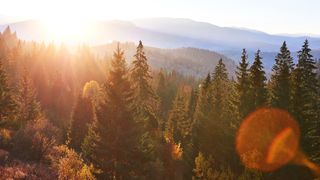 Cum e vremea pe 1 noiembrie 2023