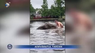 Conoor McCabe, cunoscut drept &bdquo;omul Tarzan&rdquo;. T&acirc;nărul a reușit să str&acirc;ngă o comunitate de peste 100.000 de urmăritori