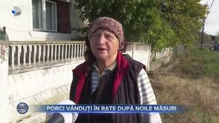 VIDEO- Porci v&acirc;nduți &icirc;n rate după noile măsuri: "Vom cumpăra porc să fie p&acirc;nă la 2.000 de lei"