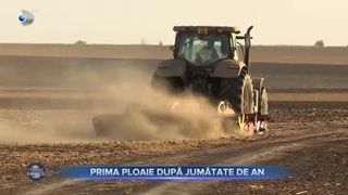 VIDEO- Prima ploaie după jumătate de an, în Constanța. Pământul se usucă de la o zi la alta