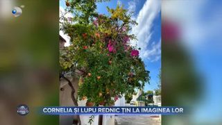 VIDEO - Cornelia și Lupu Rednic țin la imaginea lor. &bdquo;Am pus lacătul pe cuptor, am schimbat puțin modul de gătit &icirc;n casă&rdquo;