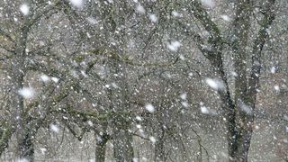 Primii fulgi de zăpadă