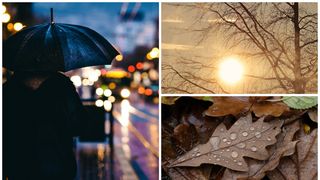 Vremea în luna noiembrie 2023.