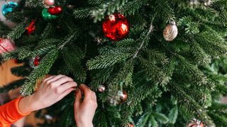 T&acirc;rg de Crăciun 2023