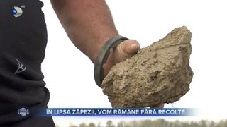 VIDEO- În lipsa zăpezii, vom rămâne fără recolte. Fermierii de tem de ce e mai rău