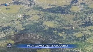 VIDEO- Pilot salvat dintre crocodili. După 9 ore &icirc;nconjurat de reptile, pilotul a fost recuperat din mlaștină