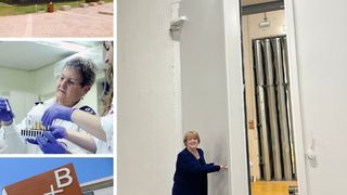 Bancă de sânge Israel