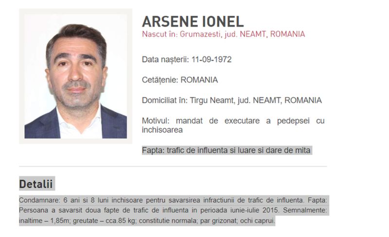 Ionel Arsene