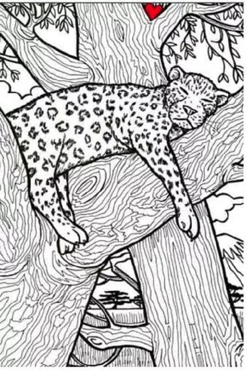 test iq iluzie optica